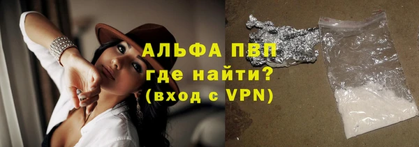 стафф Новодвинск