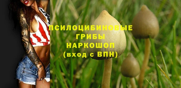 стафф Новодвинск